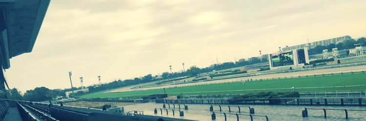 競馬暮らし「蓮」の独り言@競馬YouTuber's banner