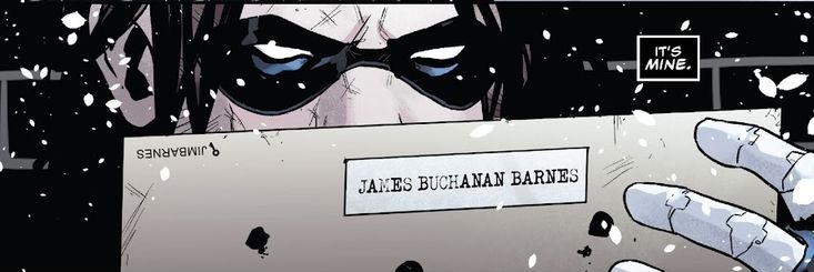 bucky barnes impregnator 🦜's banner