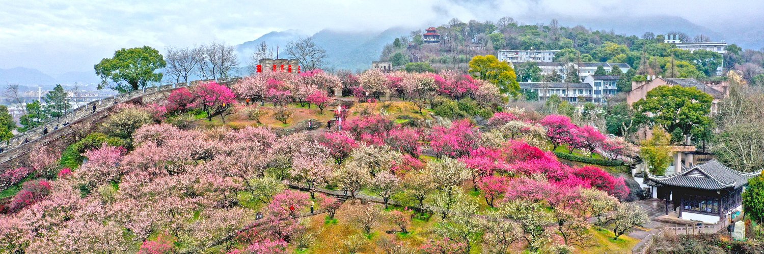 茜茜小公主's banner