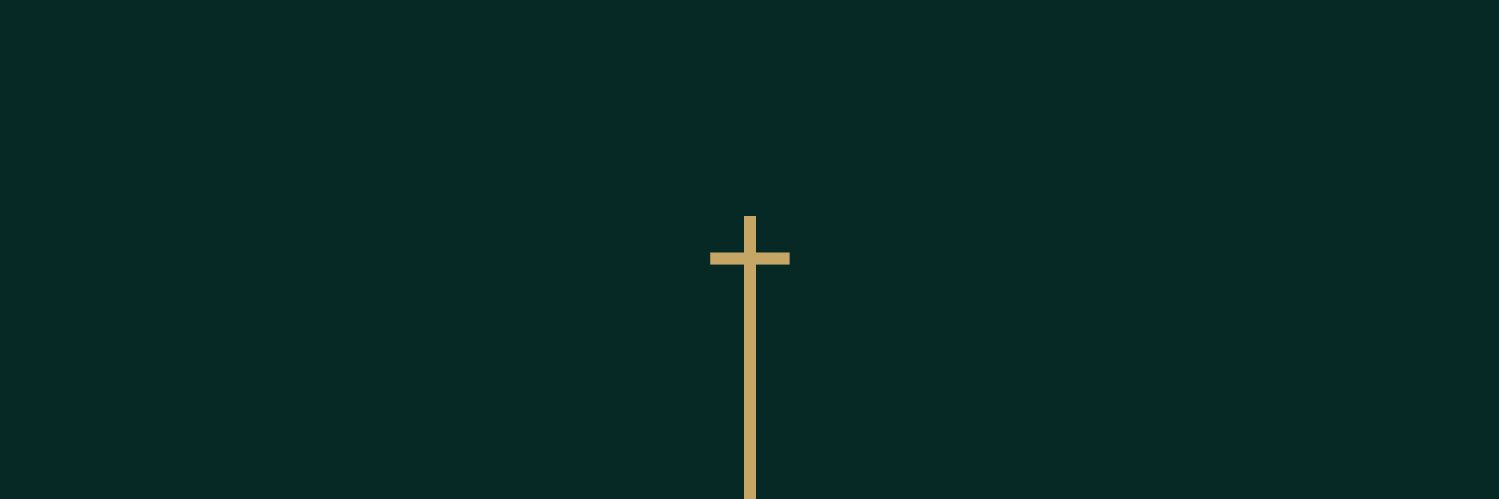 Francisco Araújo's banner