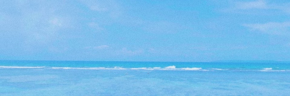 life's banner