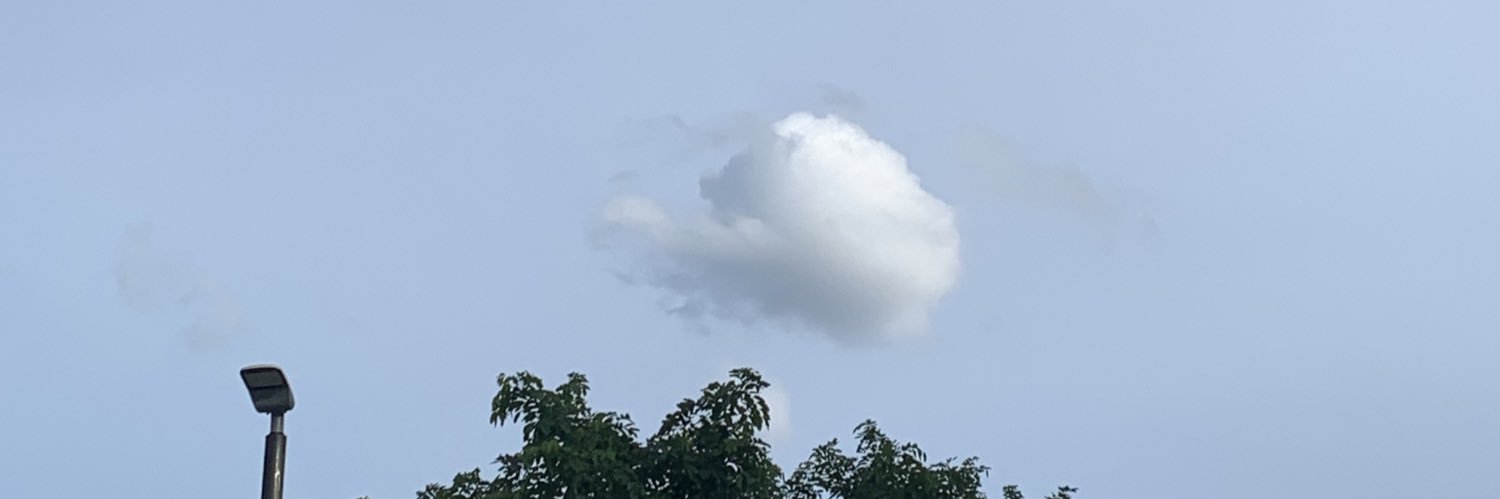 ʙᴀᴇʙʏʙᴏᴏᴏᴏ's banner