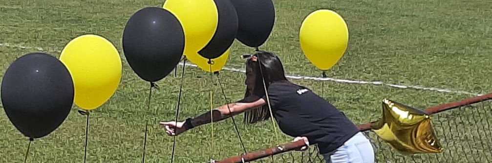 Gabriela Lameiro's banner