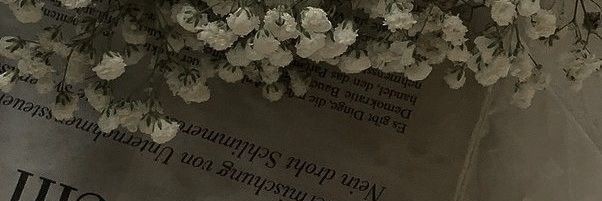 Aisha's banner