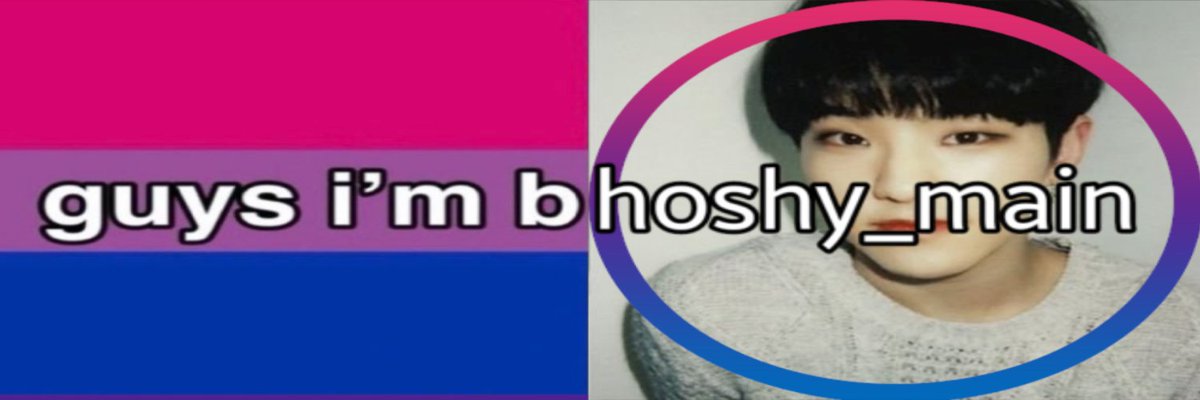 bi's banner