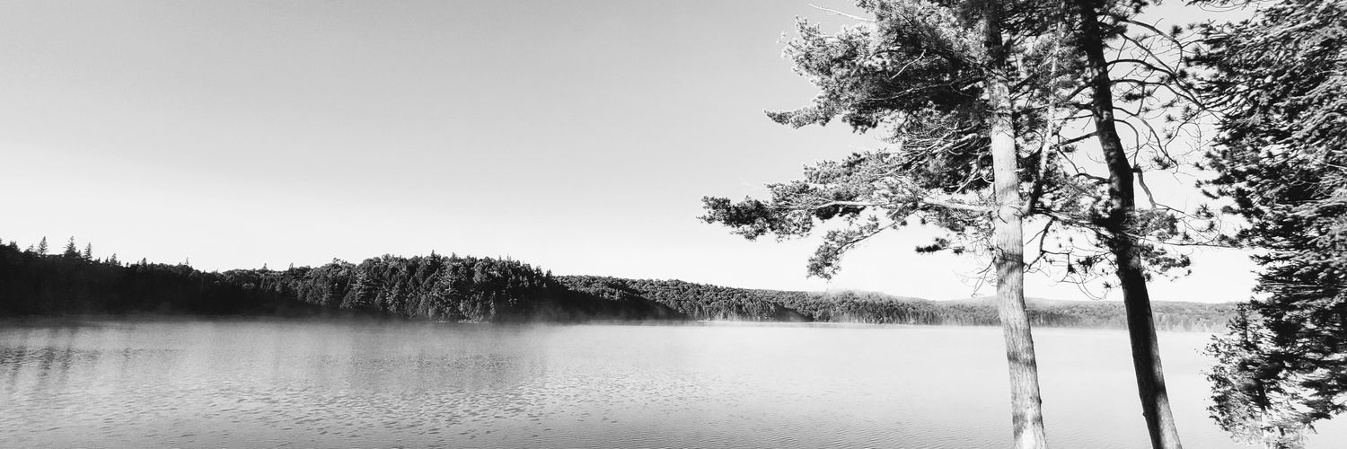 Simon 🏕️'s banner