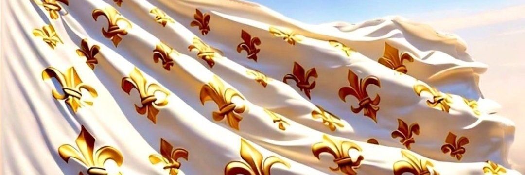⚜️ Adrien Felix ⚜️'s banner