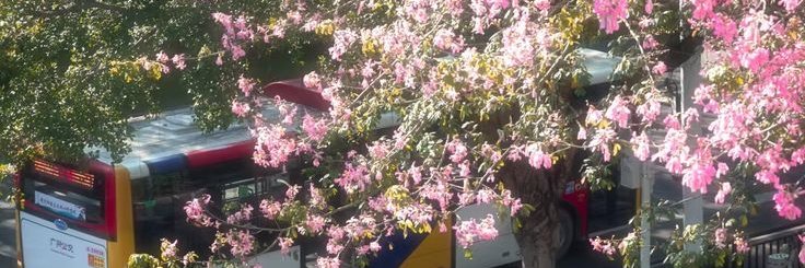 exd 🌸's banner