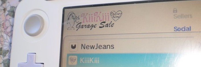 nic 𖹭's banner