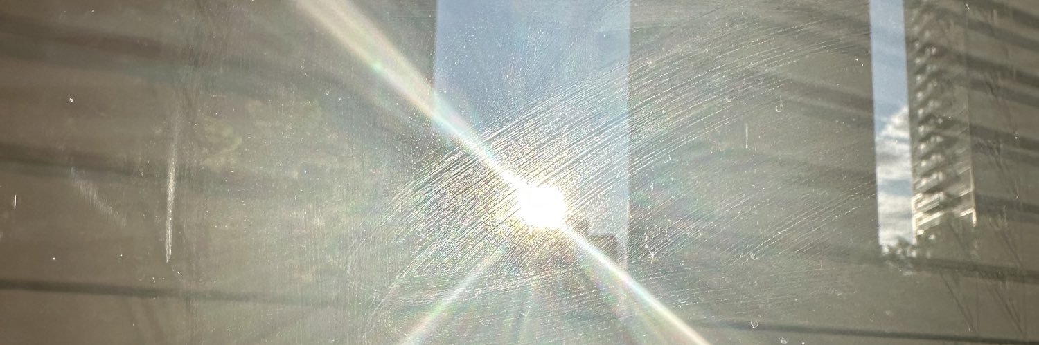 Dina Pugliese-Mirkovich's banner