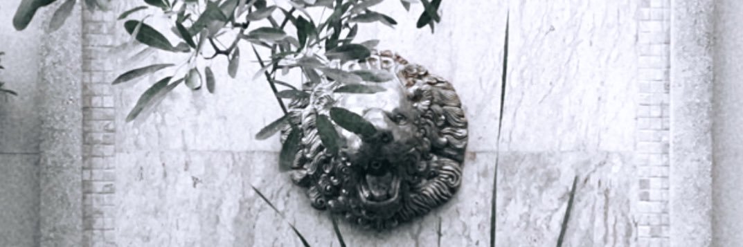 𝑩𝑶𝑶𝑴 ♛'s banner