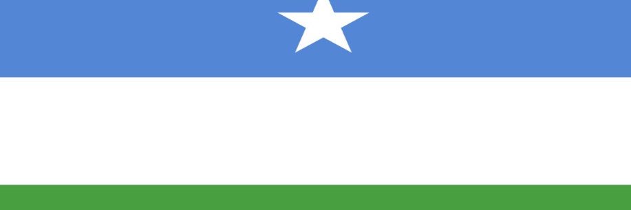 Ayub Abdirizak's banner