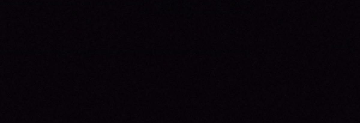 leo's banner
