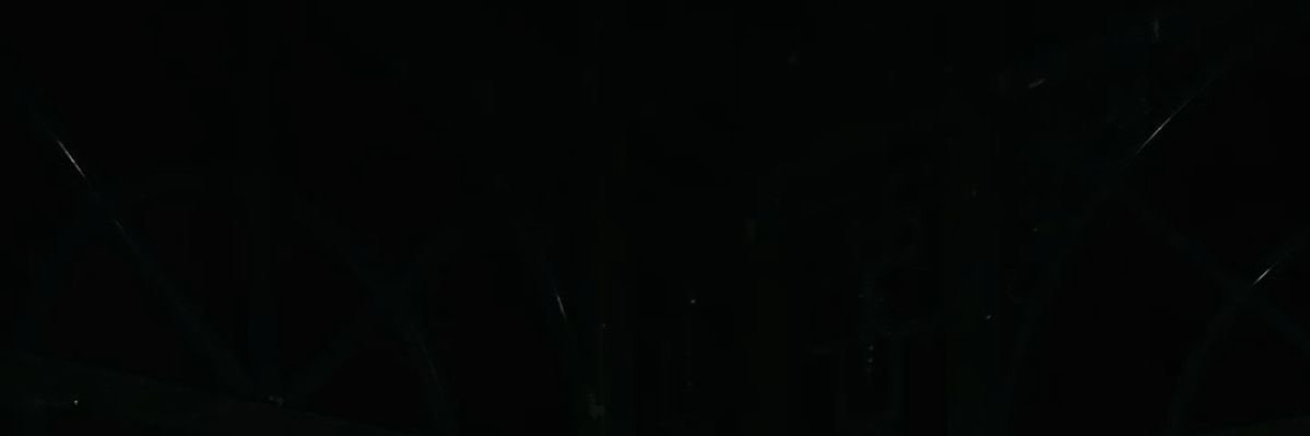 c🌹's banner