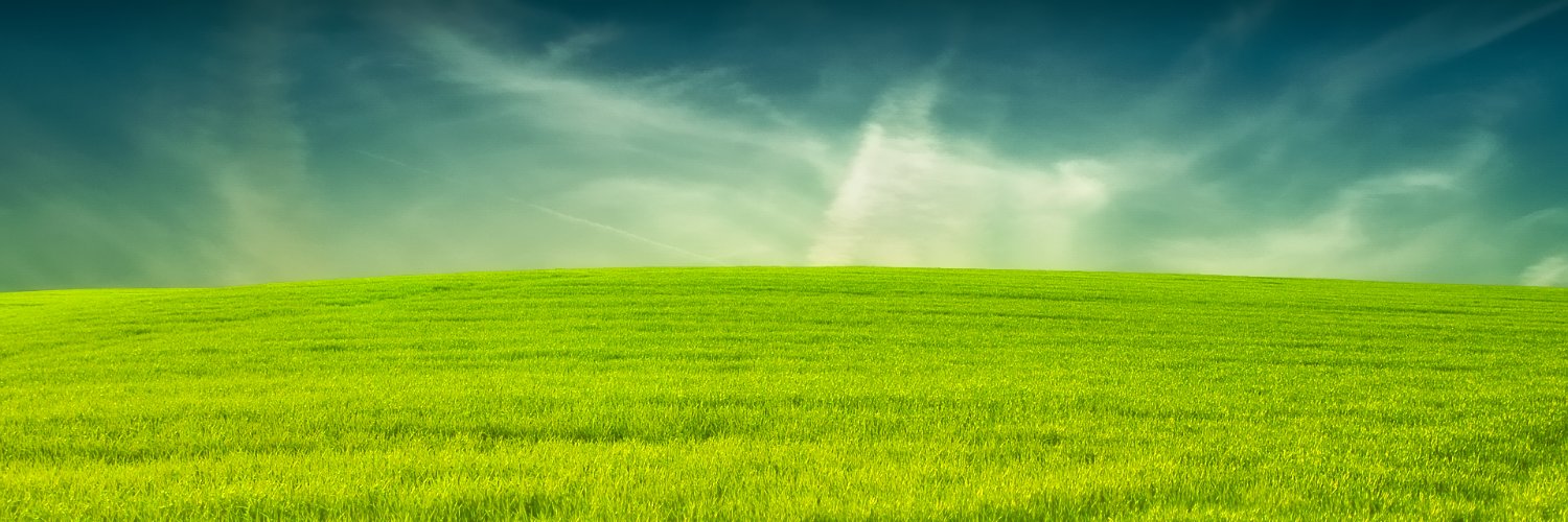 Нина Старостина's banner
