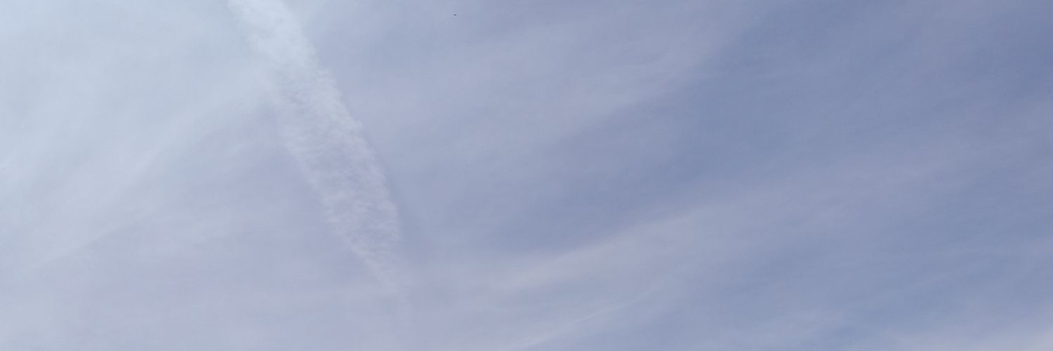 Jaime Alcalde (CONDILOMA)'s banner