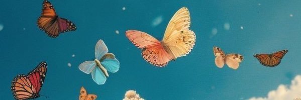 Thỏ Béo 🐰's banner