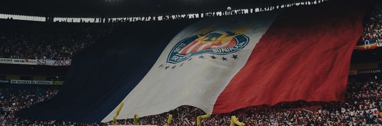 Bouquetismo 🇲🇽's banner
