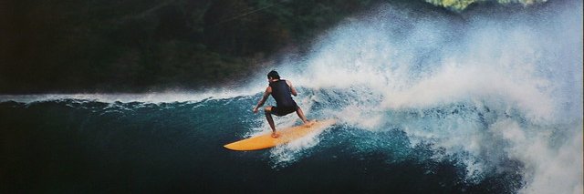 Surfer's banner