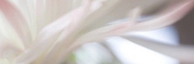 H's banner