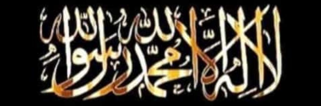 Mohd Mustaqeem's banner