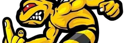 Rapsarapsa's banner