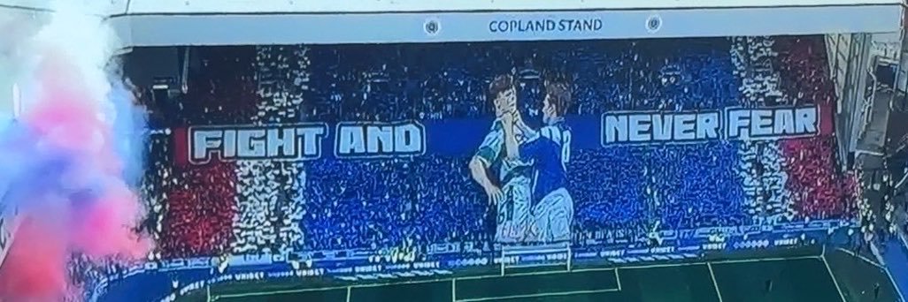 kelly🦋's banner