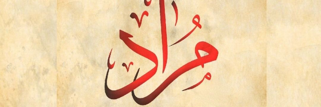 𝑴𝑶𝑹𝑨𝑫 🇵🇸's banner