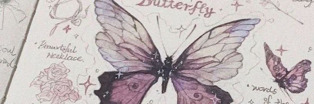 『𝑽』*ੈ✩‧₊˚'s banner