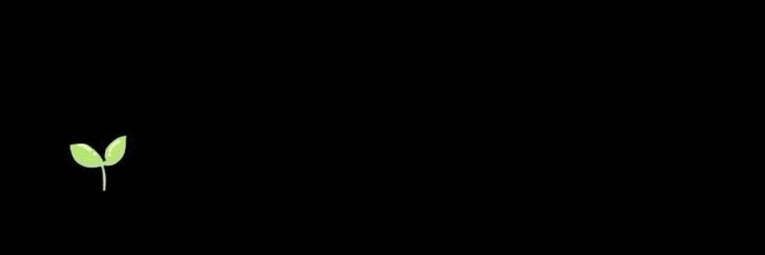 pri🥦's banner