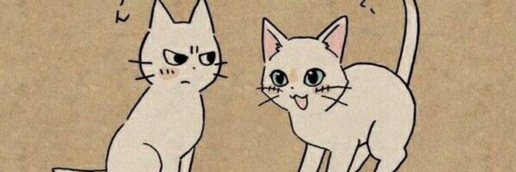 เจ้าเฟียย | ft แอคล็อคเก้าเก้าบาทท 🪼🫧's banner