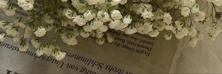Maîtresse Amy's banner