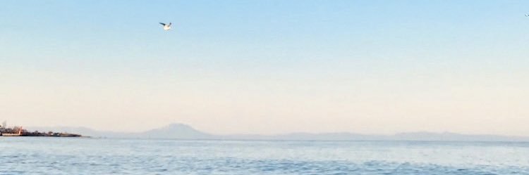ゆーくん's banner