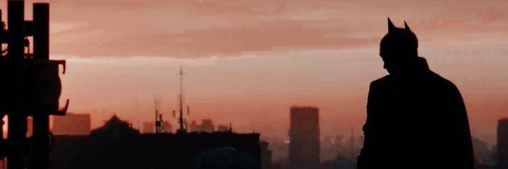 Shauryx's banner