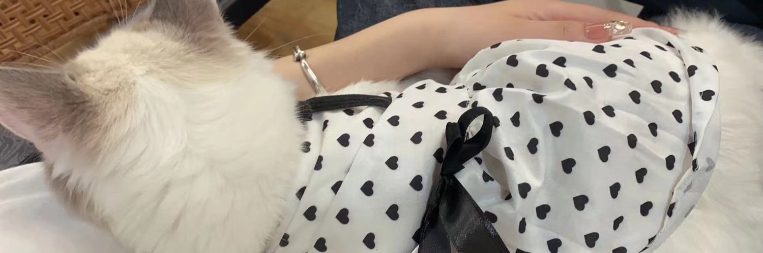 小婷findom🤍's banner