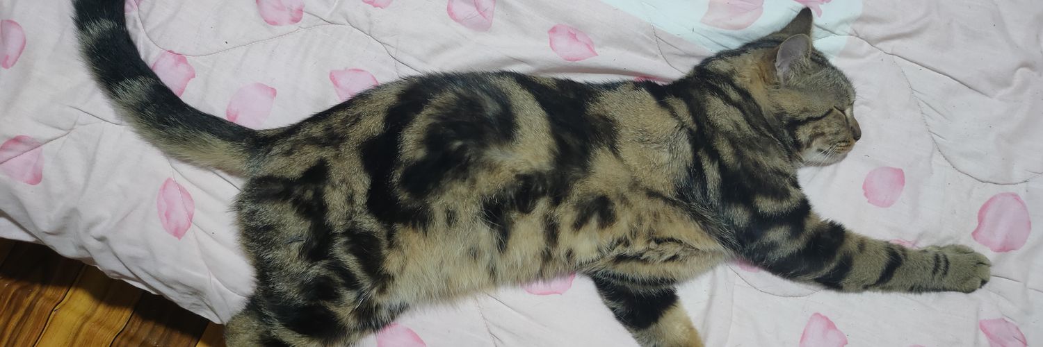Wa_Za_Bi😺's banner