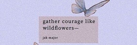 𝓑utterfly's banner