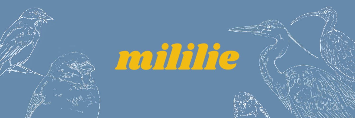 mililie｜鳥イラスト🕊️'s banner
