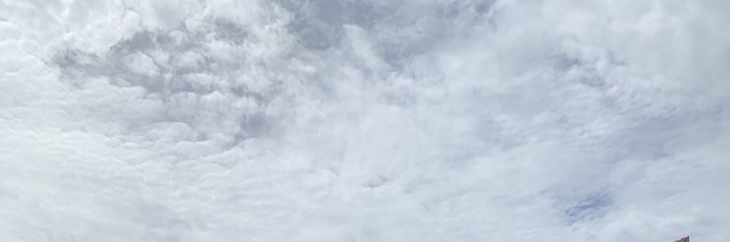 嘉義 -瑟瑟's banner