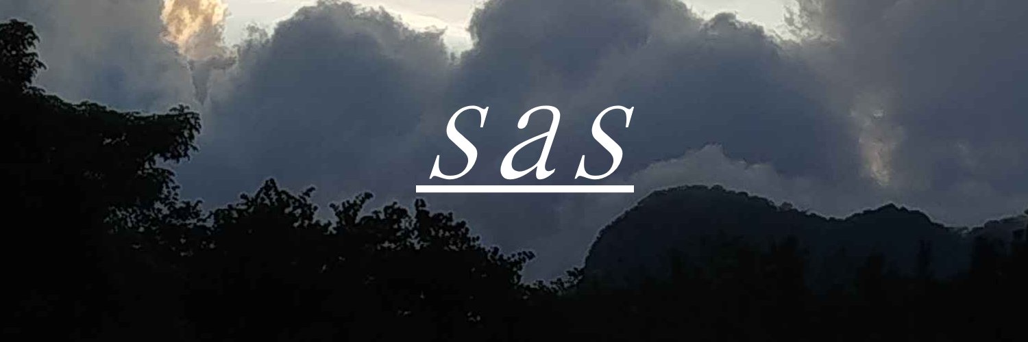 Sas's banner