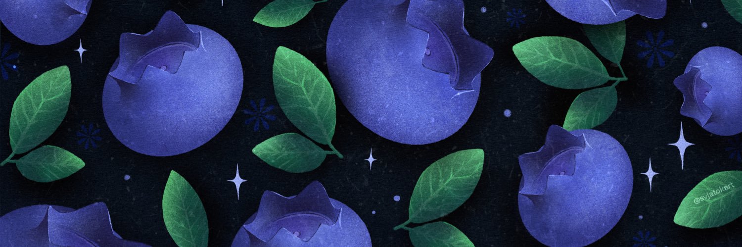 🫐Svjatokart🇺🇦's banner