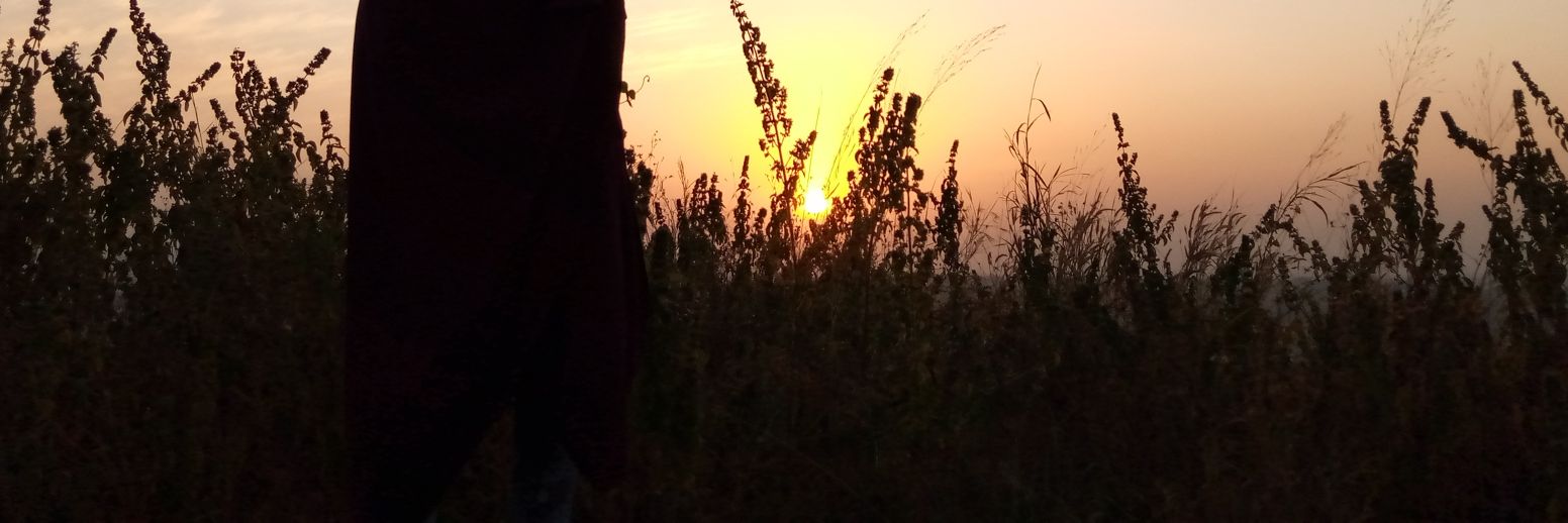 Fatima Zahrah's banner