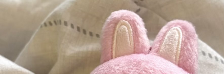 leigh & that♡⋆.˚'s banner