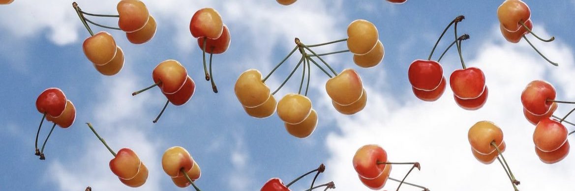 הייטקיסטית 👩‍💻's banner