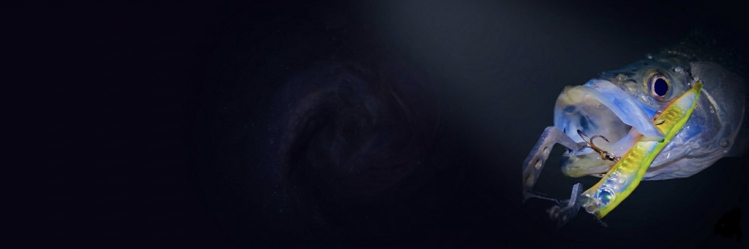 中西 攻"釣り好きシェフ"野菜家さい's banner