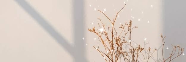 ❄🍀's banner