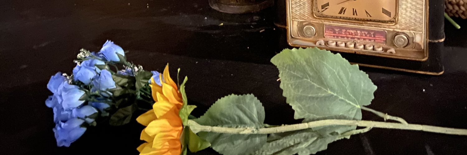 lvsot's banner
