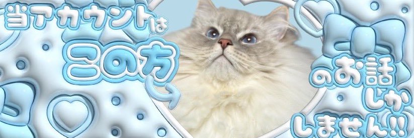 いれぶん（eleven）❄️︎︎☁🍭's banner