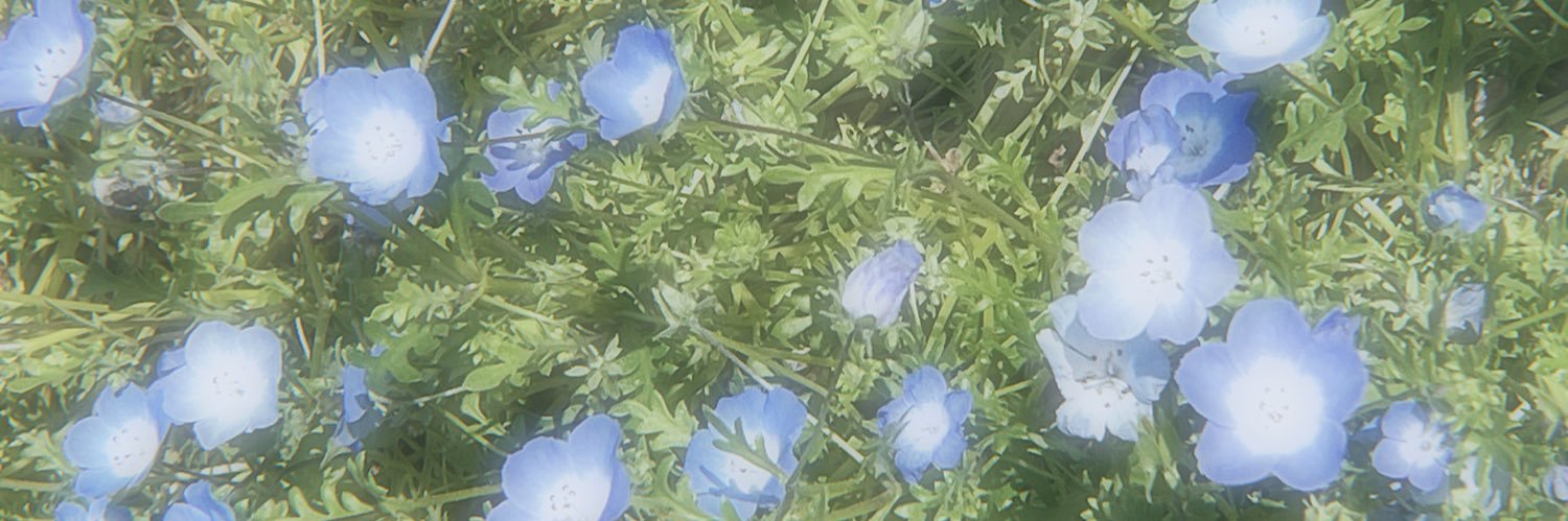 めれふせか。's banner