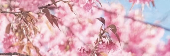 什么东东's banner
